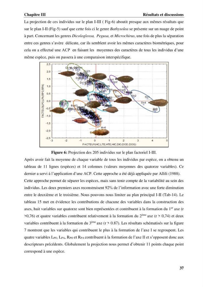 Etude systématique de la famille des soleidae des cotes algeriennes:analyses morphologique et morphométrique :