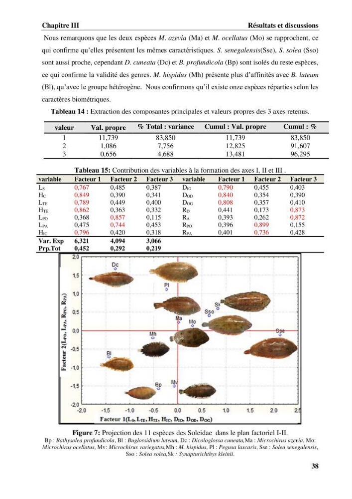 Etude systématique de la famille des soleidae des cotes algeriennes:analyses morphologique et morphométrique :