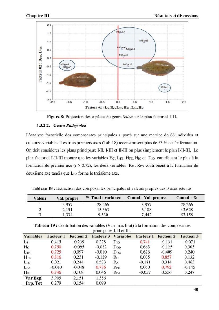 Etude systématique de la famille des soleidae des cotes algeriennes:analyses morphologique et morphométrique :