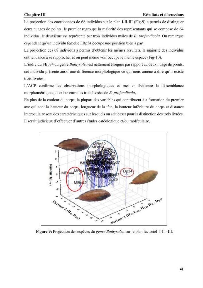 Etude systématique de la famille des soleidae des cotes algeriennes:analyses morphologique et morphométrique :