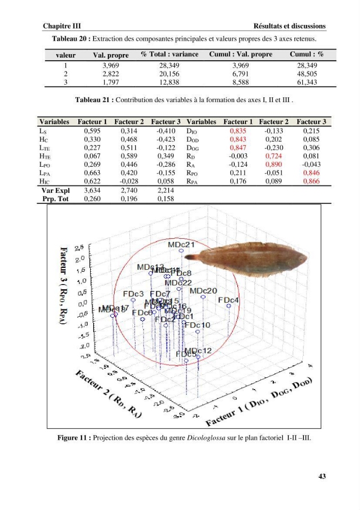 Etude systématique de la famille des soleidae des cotes algeriennes:analyses morphologique et morphométrique :