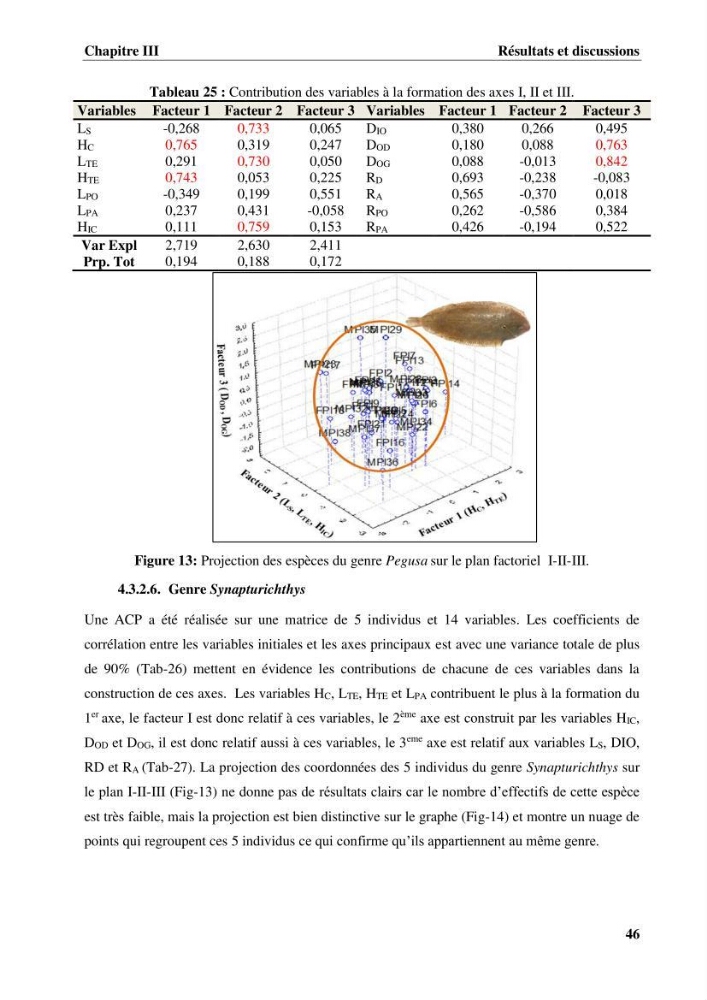 Etude systématique de la famille des soleidae des cotes algeriennes:analyses morphologique et morphométrique :