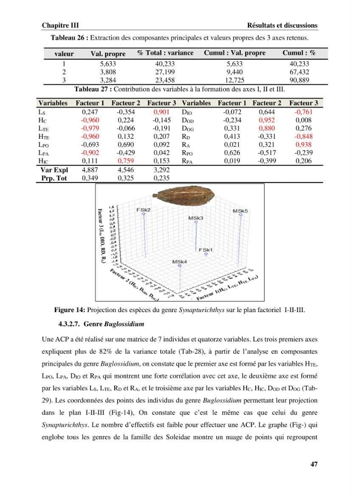 Etude systématique de la famille des soleidae des cotes algeriennes:analyses morphologique et morphométrique :