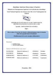 Mise en place d'une base de donnée sédimentologique dans le domaine côtier de la grande baie de zemmouri