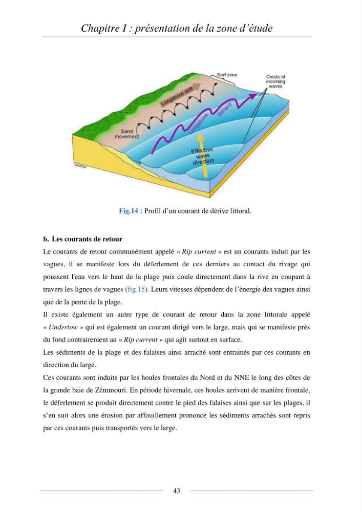 Mise en place d\'une base de donnée sédimentologique dans le domaine côtier de la grande baie de zemmouri