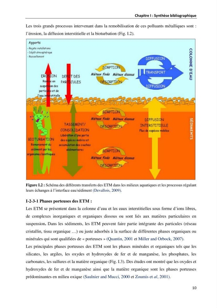 les métaux traces dans les sédiment marins et les espéces démersales de la côte algérienne: contribution à l\'évalution du risque écologique