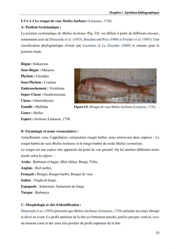 les métaux traces dans les sédiment marins et les espéces démersales de la côte algérienne: contribution à l\'évalution du risque écologique