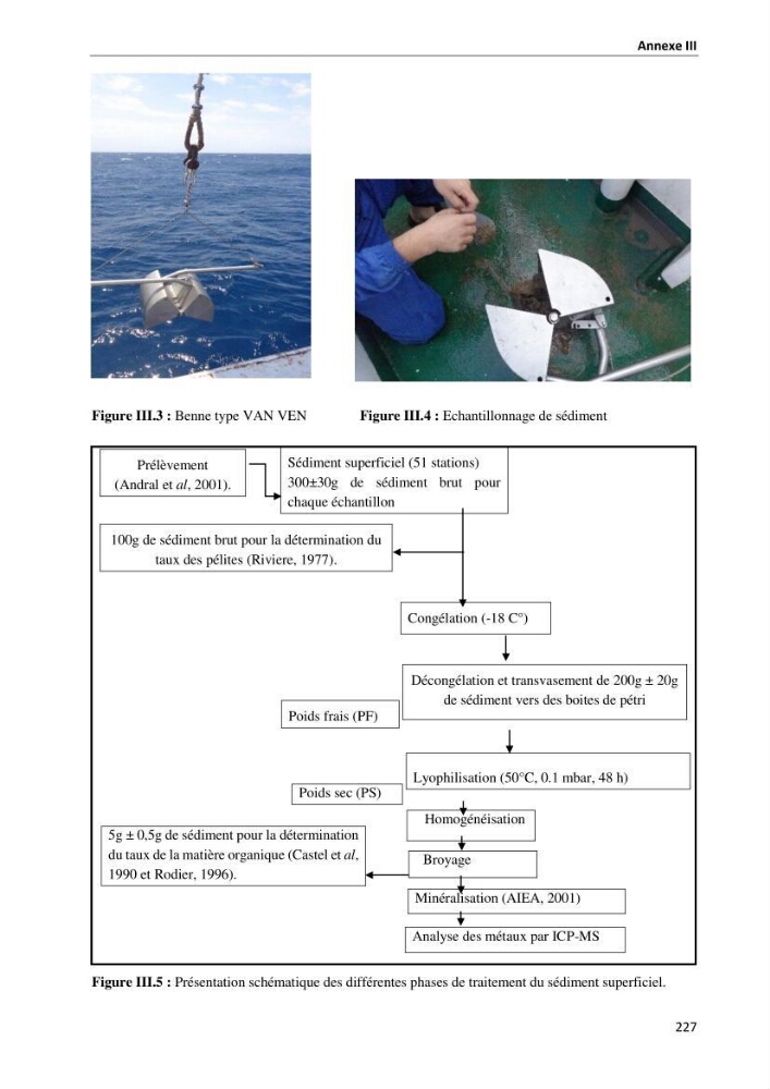 les métaux traces dans les sédiment marins et les espéces démersales de la côte algérienne: contribution à l\'évalution du risque écologique
