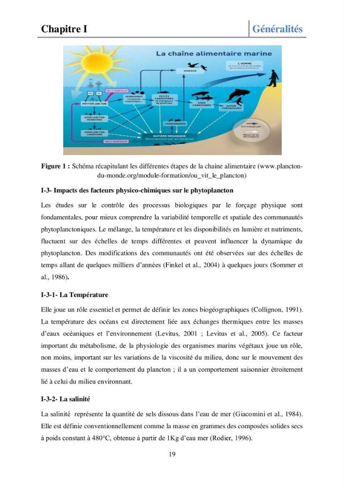 Etude de la structure des populations phytoplanctoniques dans la baie d\'Alger (juillet 2013)
