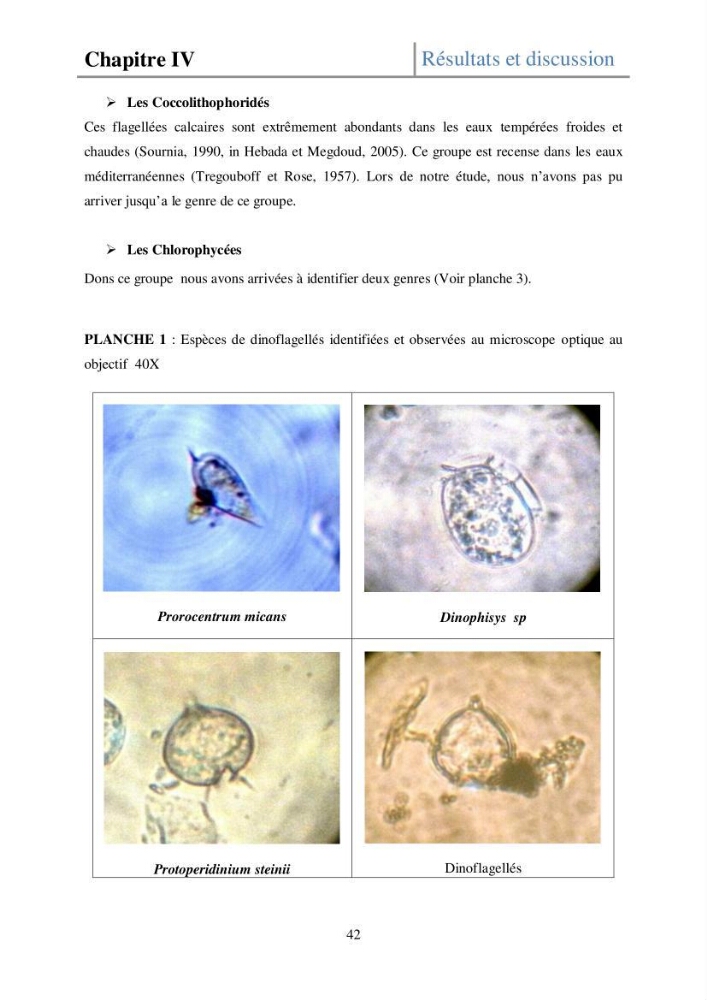 Etude de la structure des populations phytoplanctoniques dans la baie d\'Alger (juillet 2013)