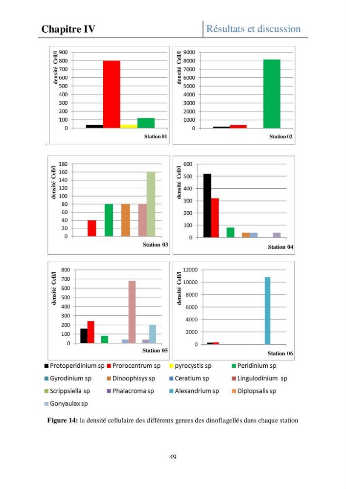 Etude de la structure des populations phytoplanctoniques dans la baie d\'Alger (juillet 2013)
