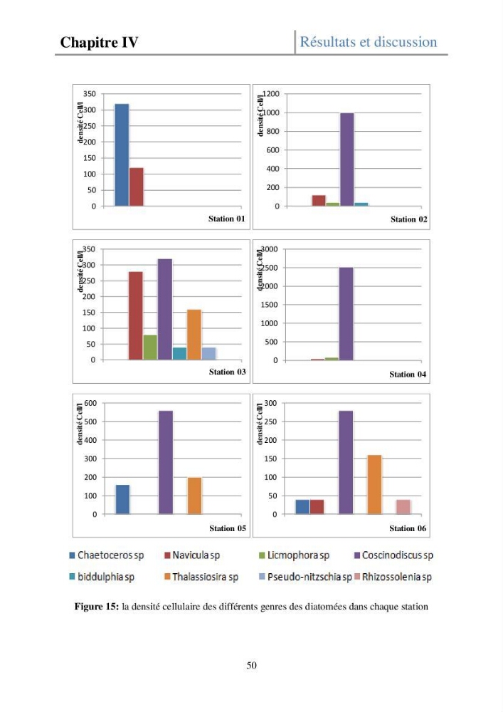 Etude de la structure des populations phytoplanctoniques dans la baie d\'Alger (juillet 2013)
