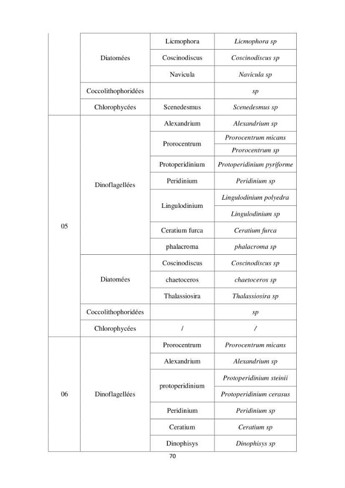 Etude de la structure des populations phytoplanctoniques dans la baie d\'Alger (juillet 2013)