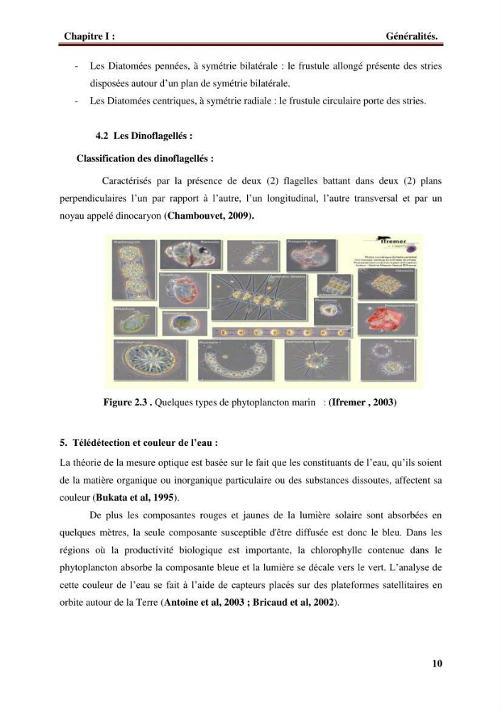 Observer et comprendre la variabilité spatio-temporelle de la qualité des eaux marines à partir de données multi sources : quantification de la biomasse phytoplanctonique.