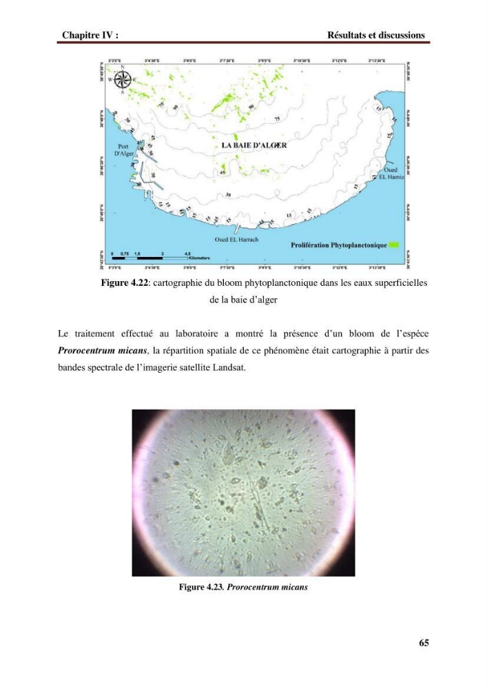 Observer et comprendre la variabilité spatio-temporelle de la qualité des eaux marines à partir de données multi sources : quantification de la biomasse phytoplanctonique.