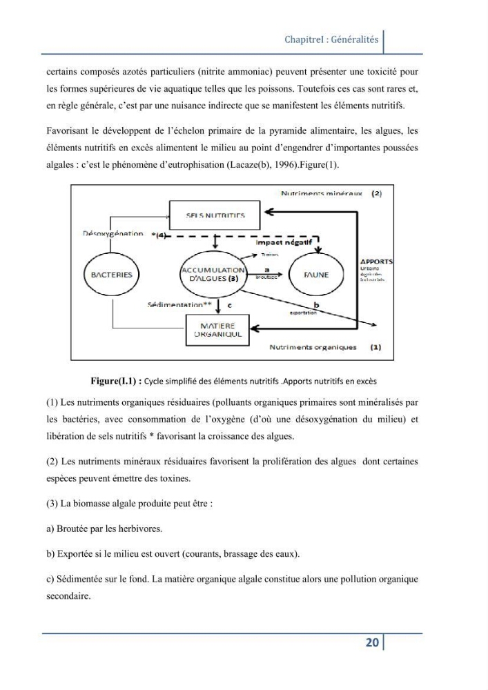 Les paramétres physico-chimiques et la pollution dans les l\'eau et le sédiment dans le port de Sidi Fredj