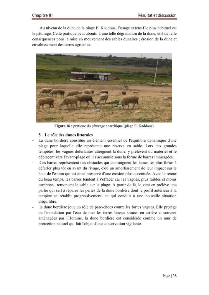 L\'évolution du trait de côte