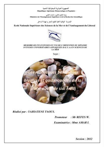 Les mollusques benthiques bivalves et gastéropodes de la plage ouest de Sidi-Fredj Les mollusques benthiques bivalves et gastéropodes de la plage ouest de Sidi-Fredj