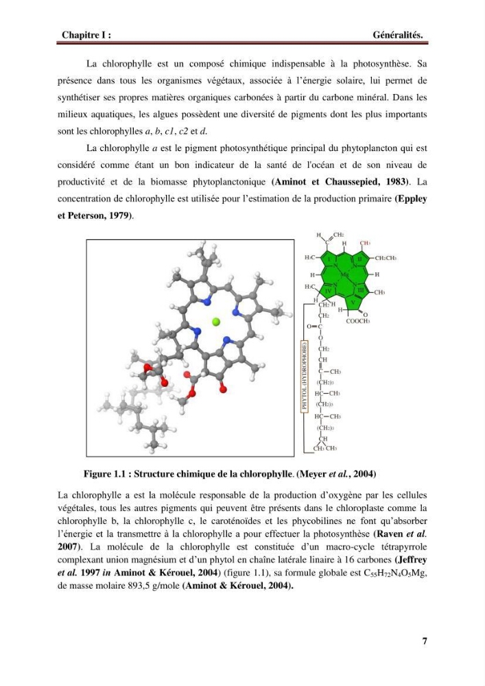 Observer et comprendre la variabilité spatio-temporelle de la qualité des eaux marines à partir de données multi sources : quantification de la biomasse phytoplanctonique.: