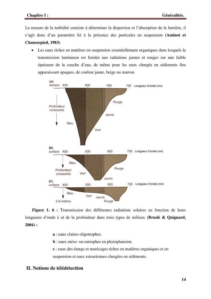 Observer et comprendre la variabilité spatio-temporelle de la qualité des eaux marines à partir de données multi sources : quantification de la biomasse phytoplanctonique.: