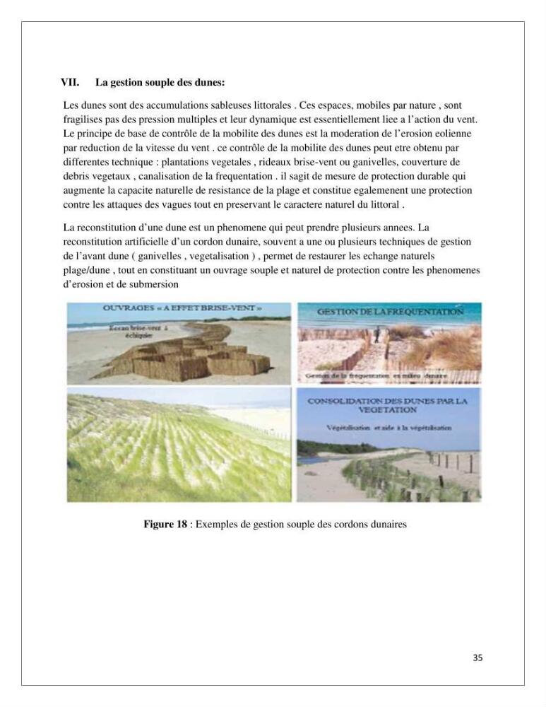 Propositions d\'aménagement et de protection par les méthodes dites \"SOFT\": cas de la baie d\'Alger