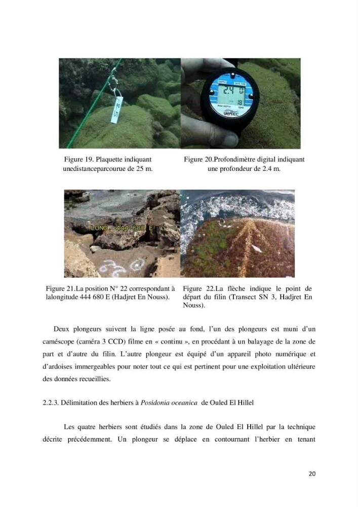 Contribution à la cartographie des habitas marins dans le cadre d\'une étude d\'impact