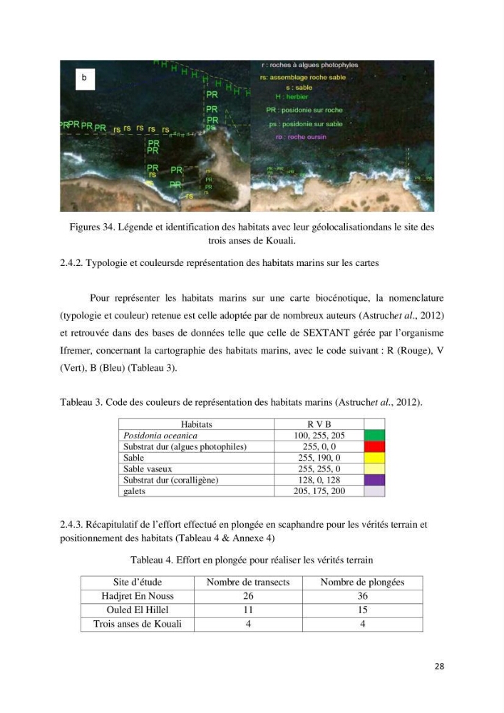 Contribution à la cartographie des habitas marins dans le cadre d\'une étude d\'impact