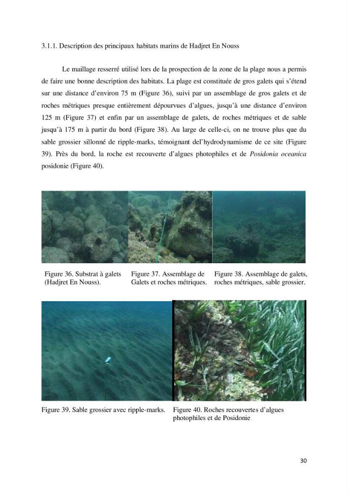 Contribution à la cartographie des habitas marins dans le cadre d\'une étude d\'impact