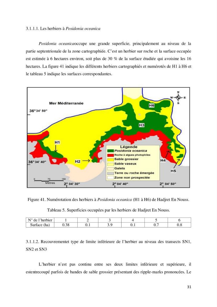 Contribution à la cartographie des habitas marins dans le cadre d\'une étude d\'impact