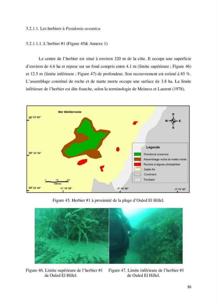 Contribution à la cartographie des habitas marins dans le cadre d\'une étude d\'impact