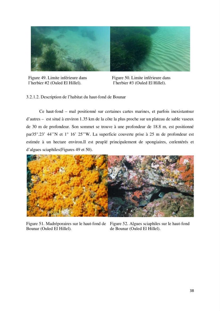 Contribution à la cartographie des habitas marins dans le cadre d\'une étude d\'impact