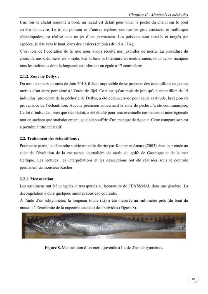 Etude des variabilités interannuelle et interrégionale du taux de croissance des juvéniles de merlu (merluccius merluccius) dans les baies de Jijel et de Dellys