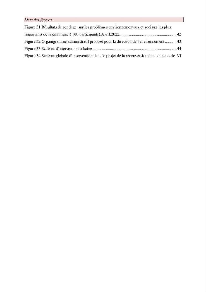 Mise en œuvre d’une gestion intégrée des zones côtières au niveau local: requis et proposition d\'un plan de gestion de la commune de Rais Hamidou