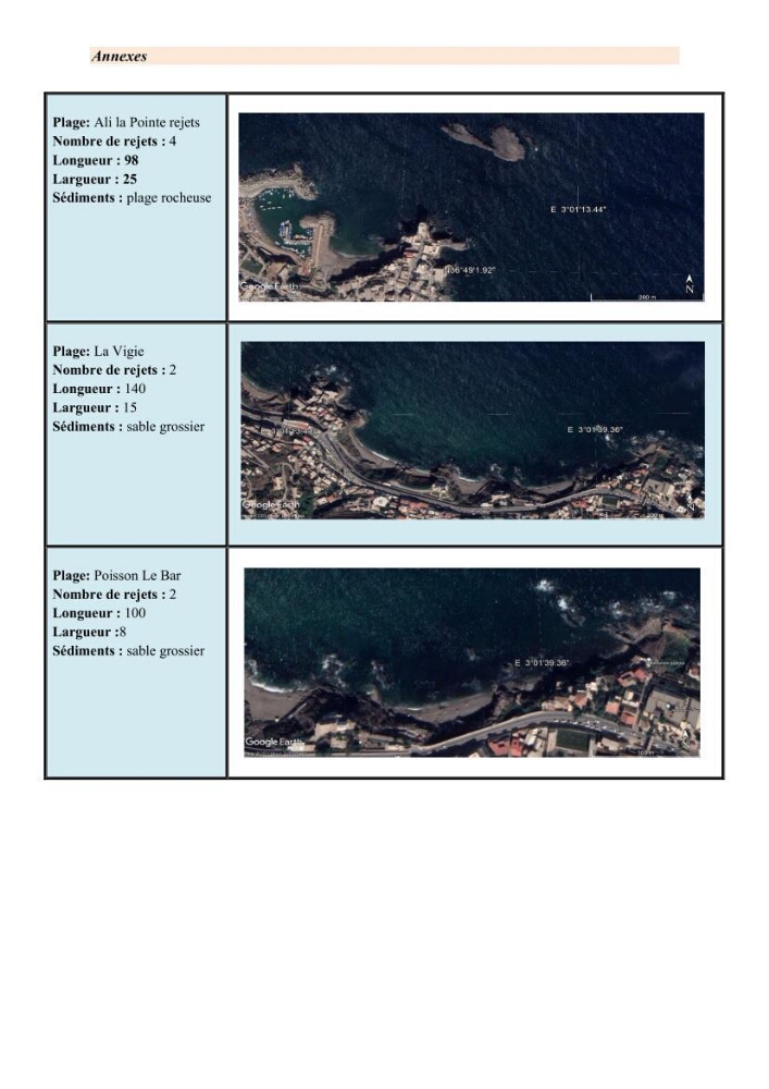Mise en œuvre d’une gestion intégrée des zones côtières au niveau local: requis et proposition d\'un plan de gestion de la commune de Rais Hamidou