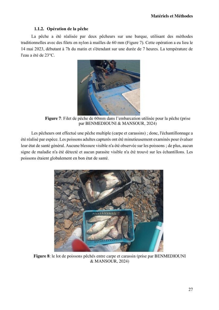 Suivi de l\'évolution de la qualité de la chair de poisson d\'eau douce et amélioration de son attrait par une méthode de valorisation