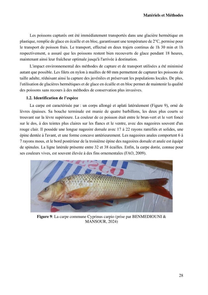 Suivi de l\'évolution de la qualité de la chair de poisson d\'eau douce et amélioration de son attrait par une méthode de valorisation