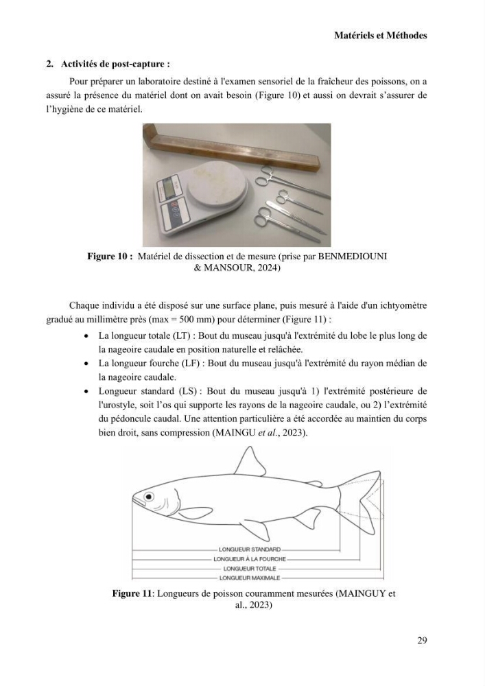 Suivi de l\'évolution de la qualité de la chair de poisson d\'eau douce et amélioration de son attrait par une méthode de valorisation