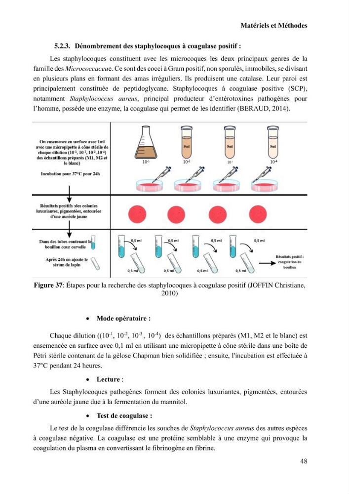 Suivi de l\'évolution de la qualité de la chair de poisson d\'eau douce et amélioration de son attrait par une méthode de valorisation