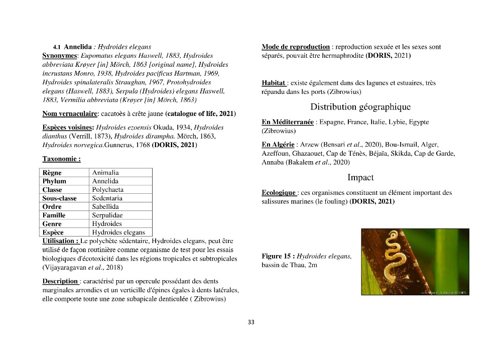 Distribution géographique et caractérisation de quelques espèces non indigènes de la côte algérienne: