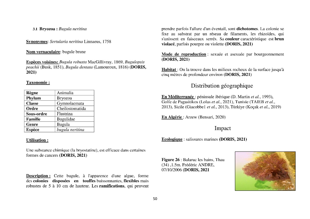 Distribution géographique et caractérisation de quelques espèces non indigènes de la côte algérienne: