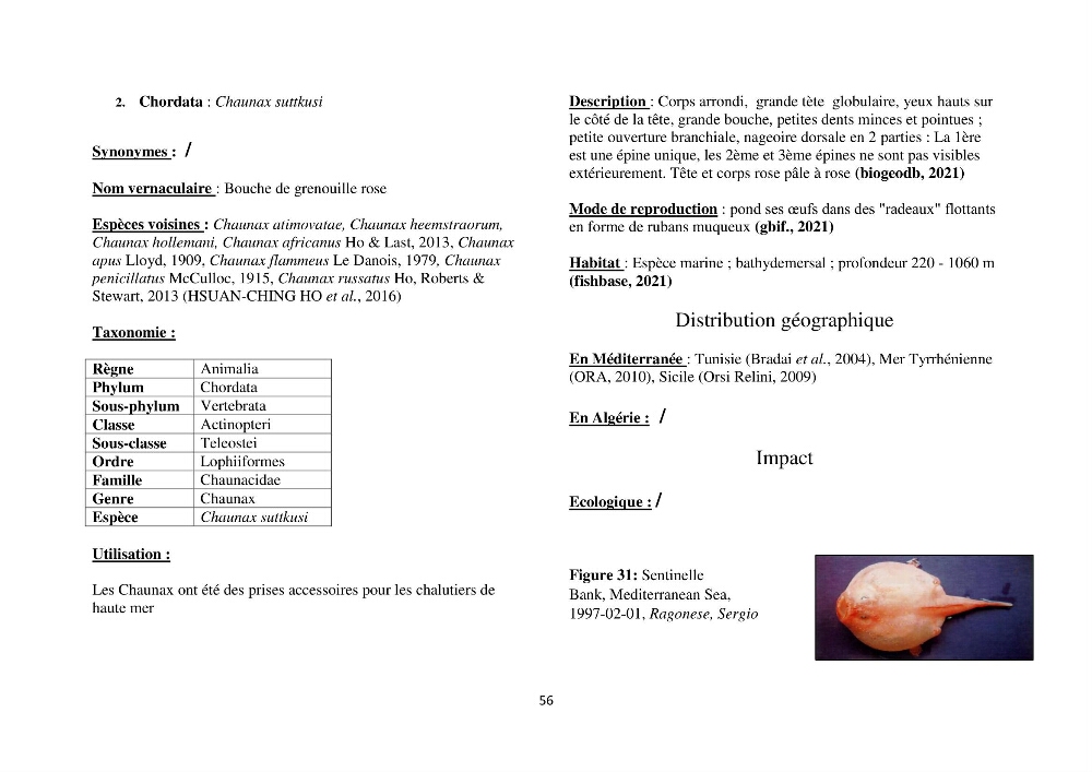 Distribution géographique et caractérisation de quelques espèces non indigènes de la côte algérienne: