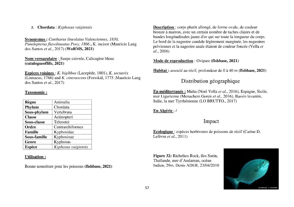 Distribution géographique et caractérisation de quelques espèces non indigènes de la côte algérienne: