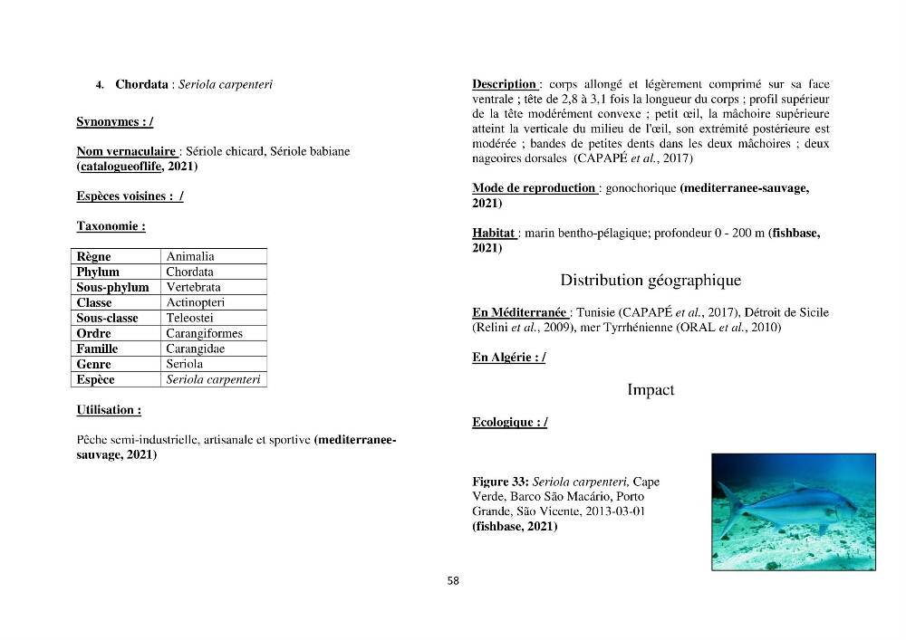 Distribution géographique et caractérisation de quelques espèces non indigènes de la côte algérienne:
