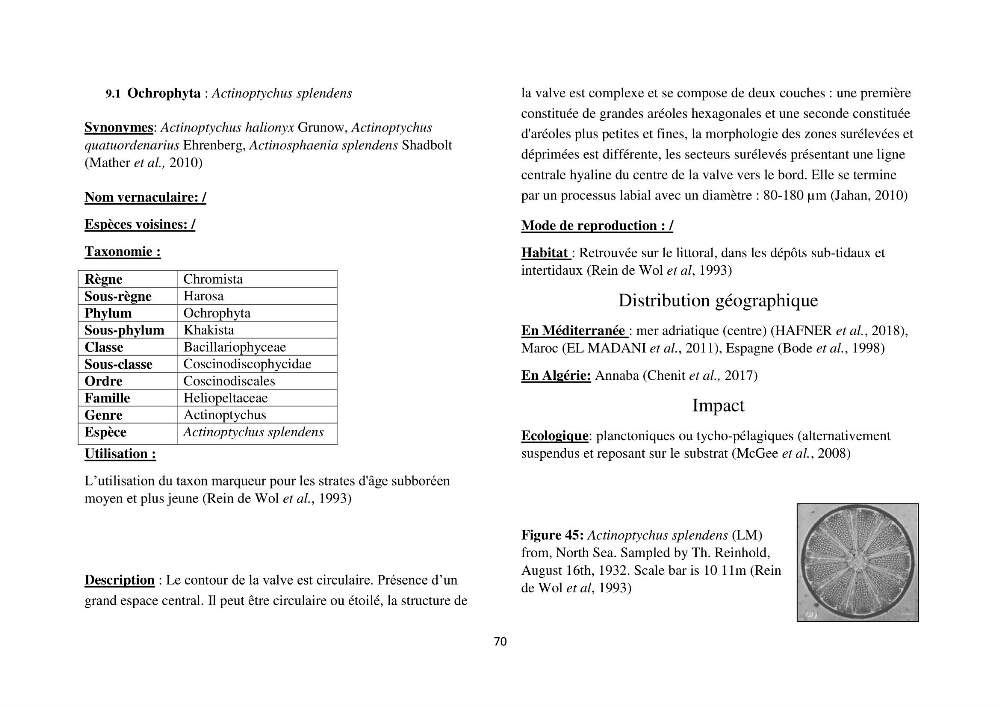Distribution géographique et caractérisation de quelques espèces non indigènes de la côte algérienne: