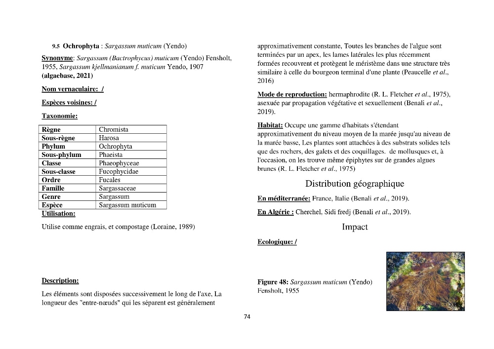 Distribution géographique et caractérisation de quelques espèces non indigènes de la côte algérienne: