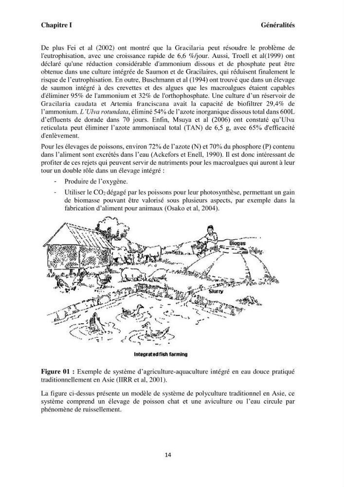 Test d\'utilisation de la macroalgue ulve (Ulva sp.) comme unique filtre biologique dans un circuit fermé d\'élevage de poissons mulets( Liza ramada):