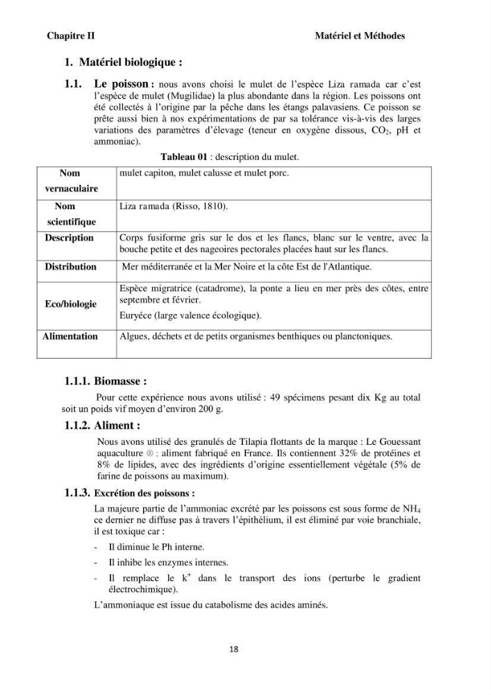 Test d\'utilisation de la macroalgue ulve (Ulva sp.) comme unique filtre biologique dans un circuit fermé d\'élevage de poissons mulets( Liza ramada):
