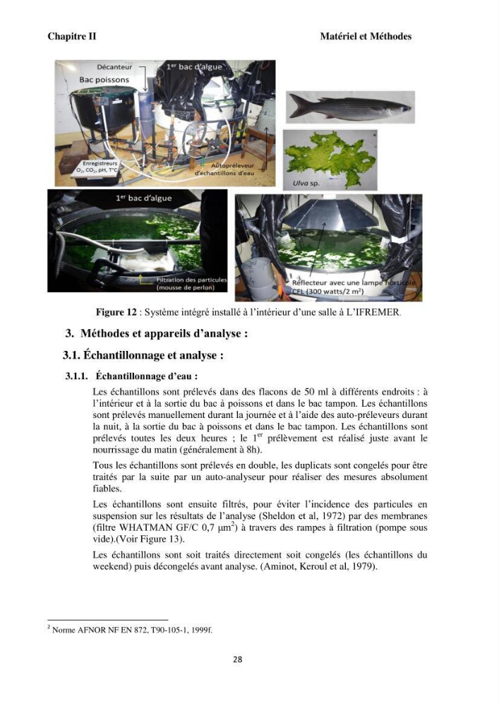 Test d\'utilisation de la macroalgue ulve (Ulva sp.) comme unique filtre biologique dans un circuit fermé d\'élevage de poissons mulets( Liza ramada):