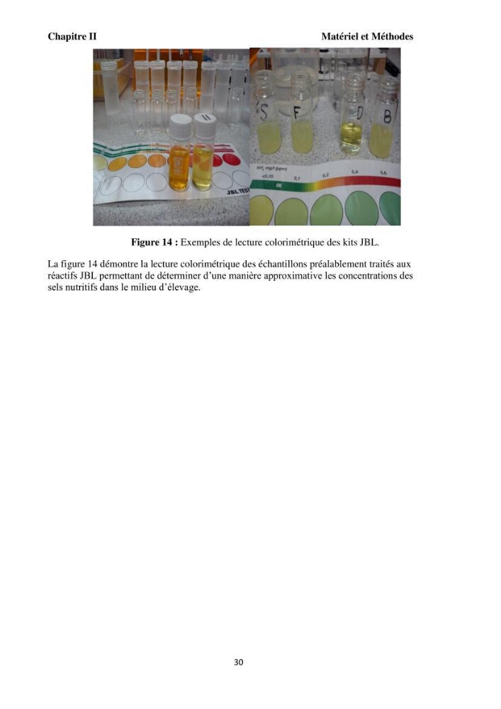 Test d\'utilisation de la macroalgue ulve (Ulva sp.) comme unique filtre biologique dans un circuit fermé d\'élevage de poissons mulets( Liza ramada):