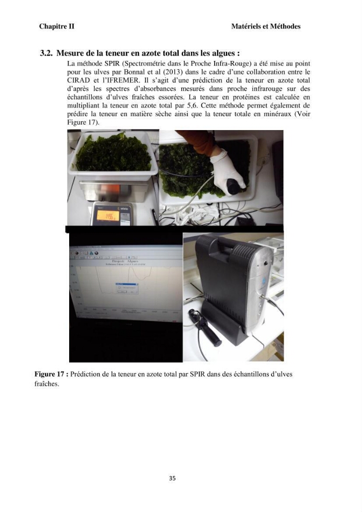 Test d\'utilisation de la macroalgue ulve (Ulva sp.) comme unique filtre biologique dans un circuit fermé d\'élevage de poissons mulets( Liza ramada):